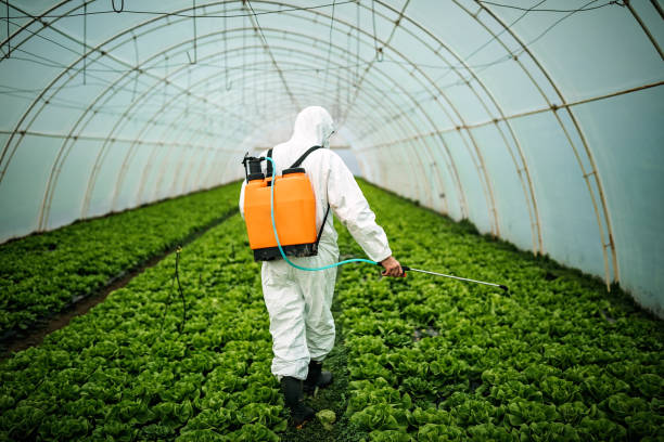 Insect Control in Wisconsin Rapids, WI